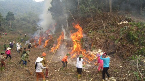 nhân dân chữa cháy rừng.jpg