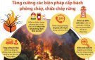 Bài tuyên truyền về công tác phòng cháy, chữa cháy rừng